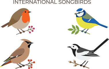 International songbirds vector illustration collection featuring colorful robin blue tit waxwing and wagtail perched on branches © MstLaky