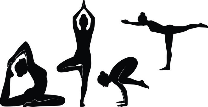 Yoga poses silhouette vector collection featuring flexible women practicing tree pose crow pose warrior and pigeon asana