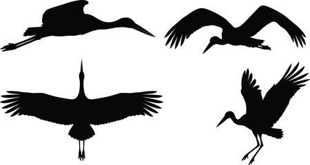 Obraz premium Flying crane and stork silhouette vector bundle featuring large migratory wading birds soaring gliding in active flight