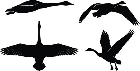 Flying wild goose silhouette vector collection featuring migratory birds swan and duck shapes in active flight positions © MstLaky