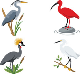 Obraz premium Exotic wading birds vector illustration collection featuring heron ibis crowned crane and white egret in nature habitats