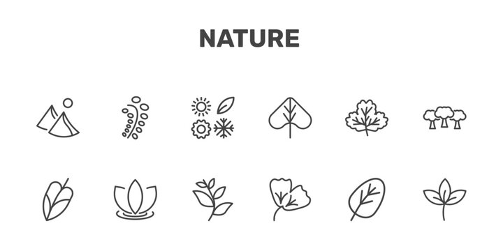 nature icon set with dune, black willow, season, straberry leaf signs in flat outline style