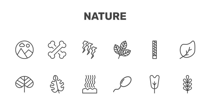 nature icon set with landscape inside frame, death, damaged, pecan leaf signs in flat outline style