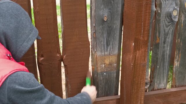 Brown oil for protection of wood by staining. Painting fence for protecting and pests. Woodworker applying finish to pine deck board. Repairman varnishing with brush wooden fencing wall plank surface.