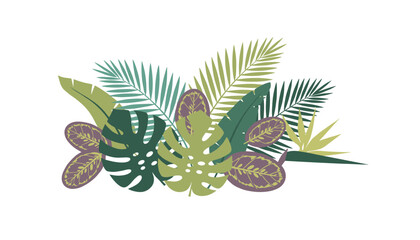 Obraz premium Arrangement of various tropical leaves in different shades of green, showcasing natural botanical beauty and an exotic aesthetic.