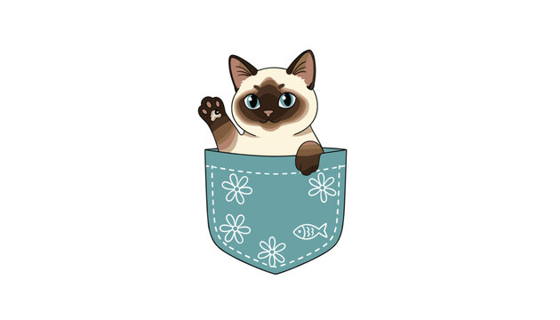Cute Siamese cat waving hello while sitting inside a teal shirt pocket, capturing a charming and playful pet illustration.