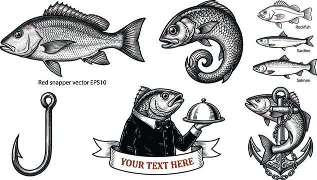 Vintage Fish Vector Icon Set Featuring Red Snapper Salmon Sardine and Restaurant Mascot for Seafood Logo Badges Fishing Club Emblems and Menu Designs