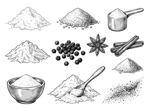 Hand drawn ink sketch of flour, sugar, protein powder, and spice assortment, isolated on white background