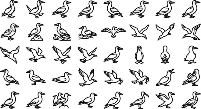 Seabird and Coastal Gannet Bird Line Icon Set Featuring Flying Standing Swimming and Fishing Boobies or Seagulls for Marine Wildlife Protection DesignsSeabird and Coastal Gannet Bird Line Icon Set Fea