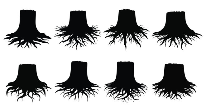 Tree Stump Silhouettes With Roots Black On White Background