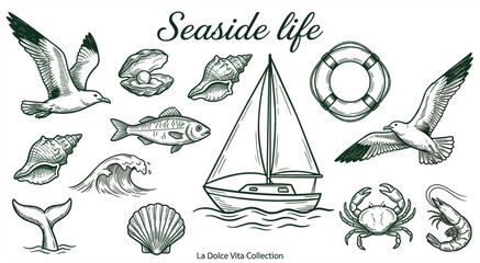 Vintage Seaside Life Vector Illustration Set Featuring Sailboat Seagulls Sea Shells Fish Crab and Marine Elements for Nautical Style Graphic Designs © Hosneara