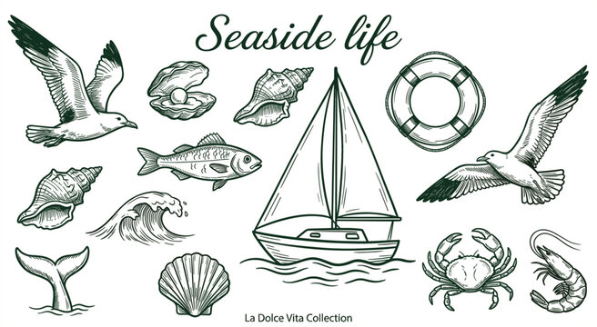 Vintage Seaside Life Vector Illustration Set Featuring Sailboat Seagulls Sea Shells Fish Crab and Marine Elements for Nautical Style Graphic Designs