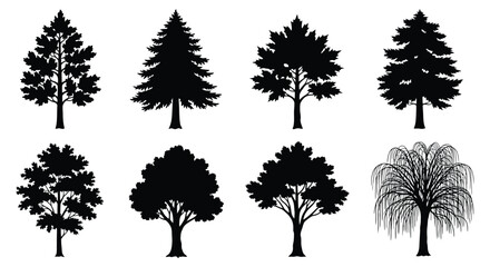 Tree Silhouettes Collection Black Shapes On White Background © Foaje512