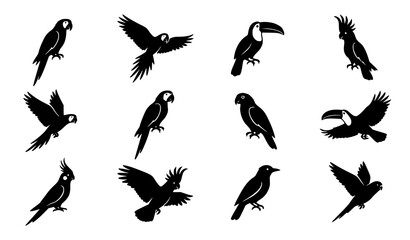 Tropical Bird Silhouettes Set with Parrots Toucans and Cockatoos Vector EPS © Rasme