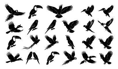 Premium Tropical Bird Silhouette Icons with Exotic Jungle Wildlife Species © Rasme