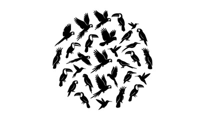 Exotic Tropical Bird Silhouette Collection with Flying and Perched Species © Rasme