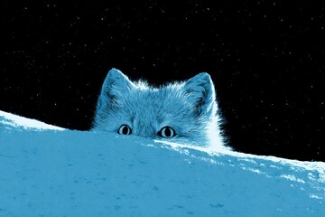 Naklejka premium An arctic fox curiously peeks over a snowy ridge at night, revealing just its eyes and ears in a blue neon glow against a dark backdrop.