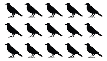 Naklejka premium Vector illustration set of black bird silhouettes