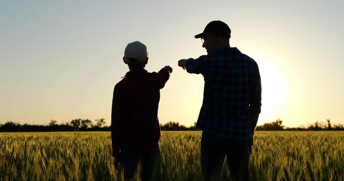 Father and kid silhouettes point toward horizon in wheat field at sunset. Countryside scene represents parental guidance, life lessons and strong family values across generations.