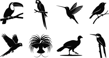 Obraz premium Tropical and Exotic Bird Black Silhouette Collection with Flying and Perched Wildlife Vector Set