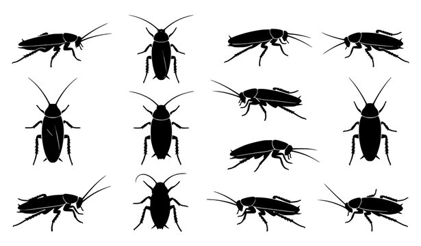 Black Cockroach Silhouette Set for Pest Control and Infestation Vector EPS