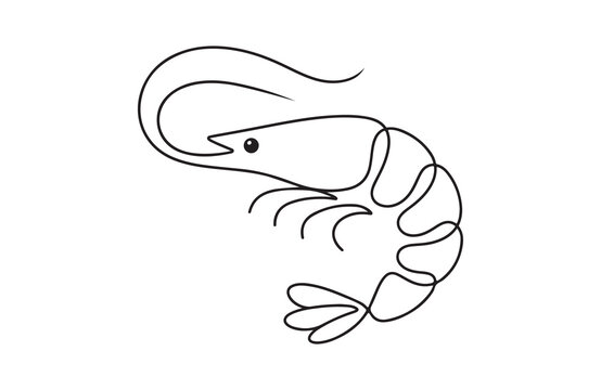 Minimalist single line drawing of a shrimp with crustacean shellfish creature