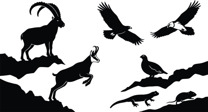 Alpine Wildlife Animal Silhouette Vector Set Featuring Ibex Chamois Eagle Ptarmigan Salamander and Mouse Mountain Species Graphic Shapes