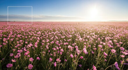 Obraz premium A vibrant landscape features a vast meadow of delicate pink wildflowers swaying gently under a bright, warm sun during a peaceful morning, outdoor, breeze, wildflower