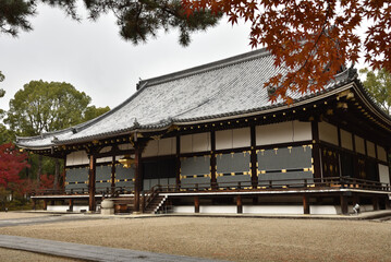 Naklejka premium 世界遺産仁和寺 秋の金堂(京都市右京区)