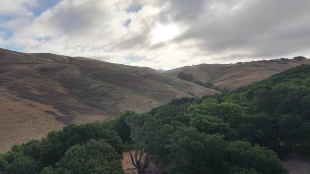 Aerial Over Oak Savanna and Golden Grassland Bowl, American Canyon California, 4K