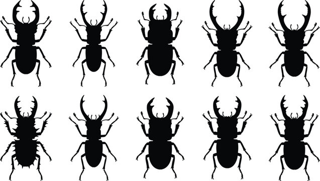 Stag beetle silhouette collection featuring horned insect shapes for nature and educational design