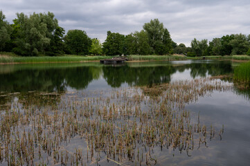 Obraz premium Pond reflection with reeds – Britzer Garten, Berlin, Germany