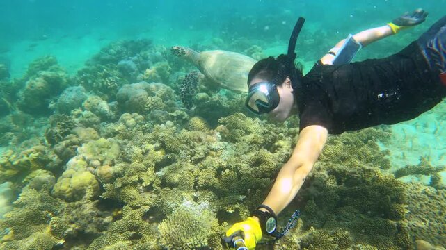 slow motion view selfie shot of an asian female free diver wearing snorkel mask and watch swimming along with a big sea turtle underwater in the ocean at the bottom of sea and ocean of green finger br