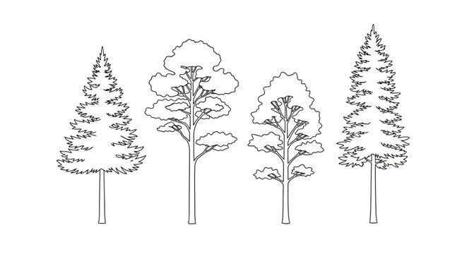 Tree icons, forest trees, pine trees, line art trees, vector illustrations