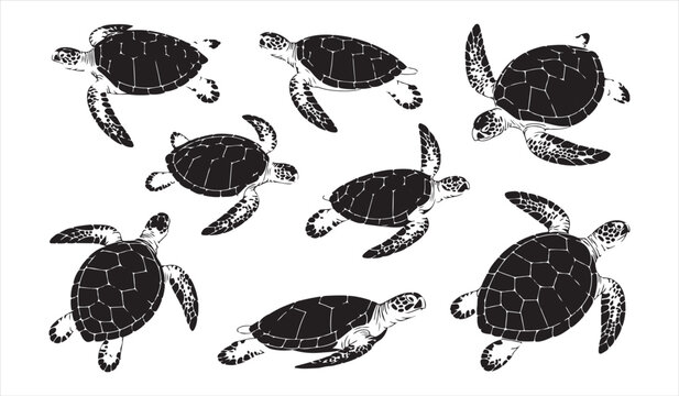 Black Sea Turtle Silhouettes Featuring Ocean Wildlife and Marine Nature Vector Icons