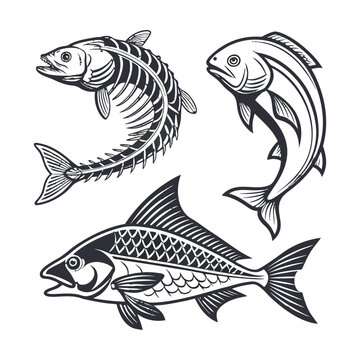 Fish icons, black and white fish illustrations, seafood vector graphics, fishbone skeleton
