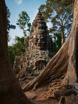 camboya