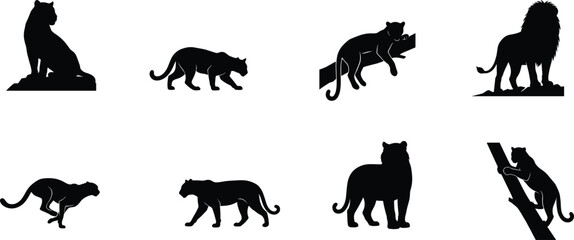 Big Cat and Lion Silhouette Collection Featuring Leopard Panther Cheetah Climbing and Resting Wildlife Vector Set © MdShahin