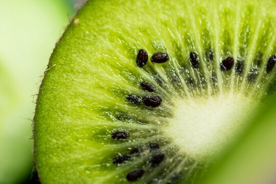 Fresh green kiwi fruit slice in extreme macro detail perfect for healthy food advertising organic juice packaging and web banners.