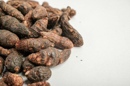 Dried Cyperus rotundus Nutgrass Tubers Scattered on White Backgr
