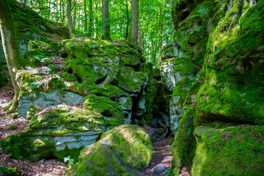 Devil's Gorge (Teufelsschlucht) Ernzen Rhineland Palatinate Germany