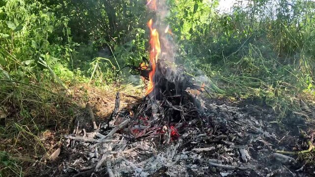 Burning Insulation off Copper Wires in a Campfire Close-Up