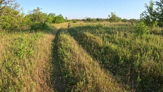 Moving Along Rural Dirt Road Through Wild Green Field
