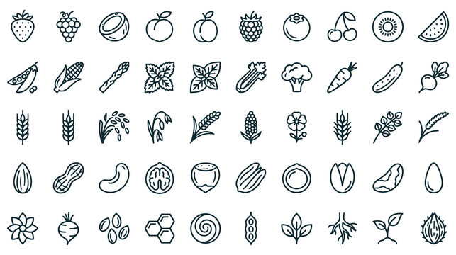 Fresh organic fruits vegetables and nuts outline icons.