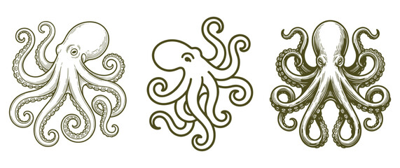 Vintage octopus engraving style marine animal sketches. © NAZMA