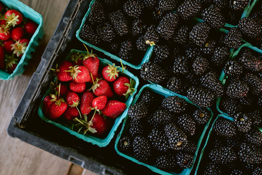 Farm-fresh boysenberries in light blue cardboard baskets with tiny strawberries, overhead view, soft daylight, farmers market abundance.