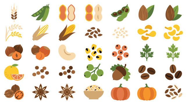 Agricultural harvest collection with seeds nuts and food.