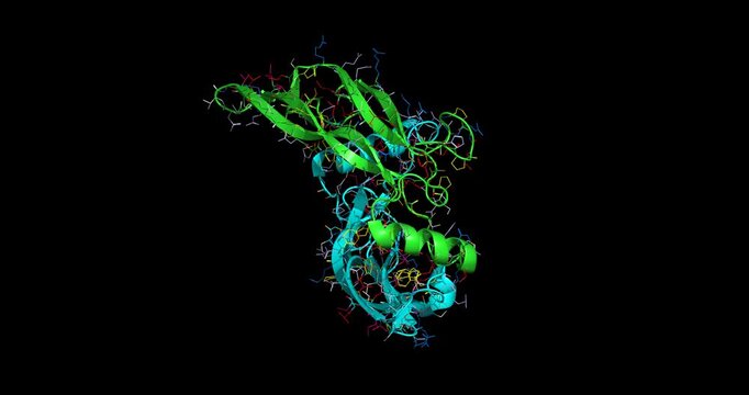 Growth Differentiation Factor (GDF), tissue differentiation and regeneration regulator, 3D macromolecule 4K spinning