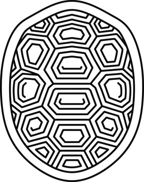 Linear turtle shell icon with wildlife tortoise hexagonal creature carapace