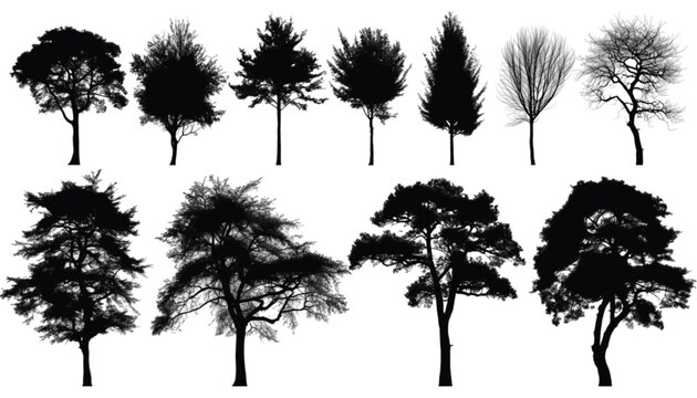 Tree variety set presents an expansive catalog of diverse species in high contrast black silhouettes against a white background to offer a comprehensive library of botanical shapes for creative work.